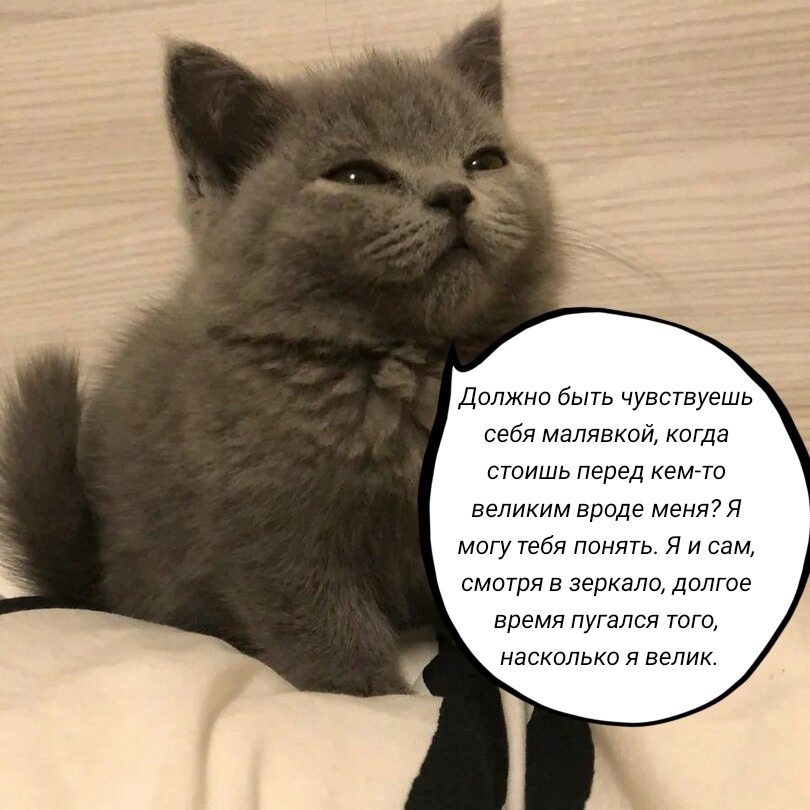 ZVGZD3h_zZw.jpg?size=810x810&quality=96&