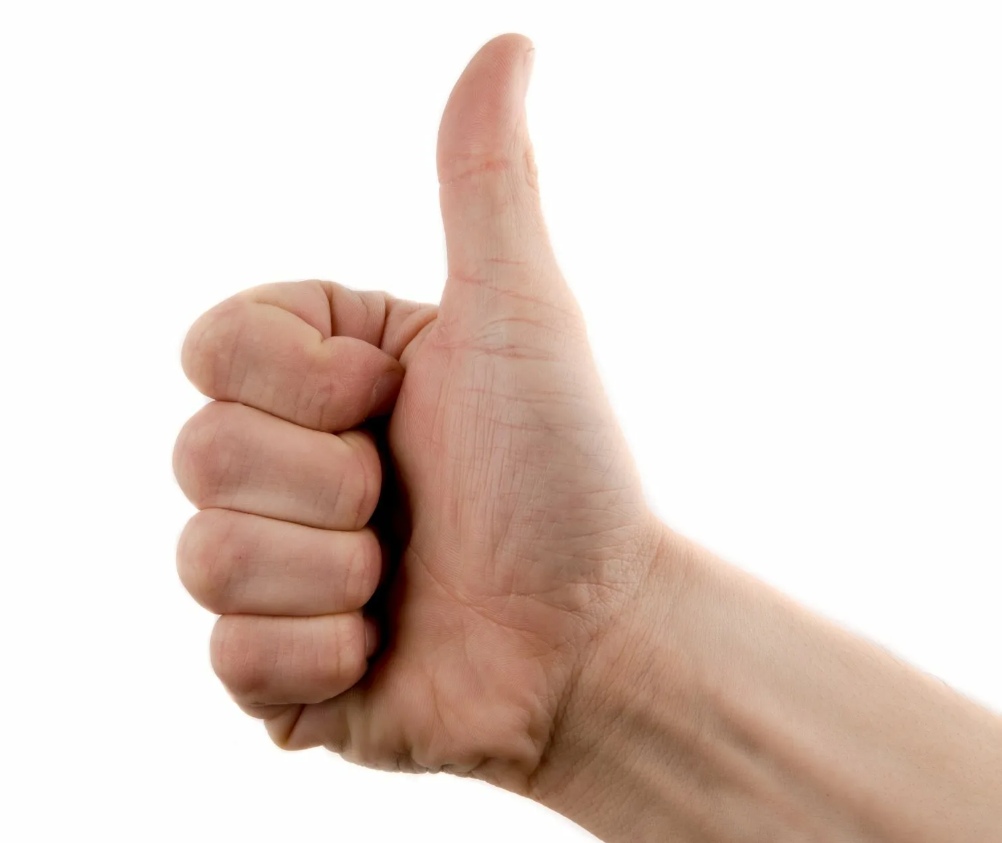 VO179zGt44M.jpg?size=1002x843&quality=96