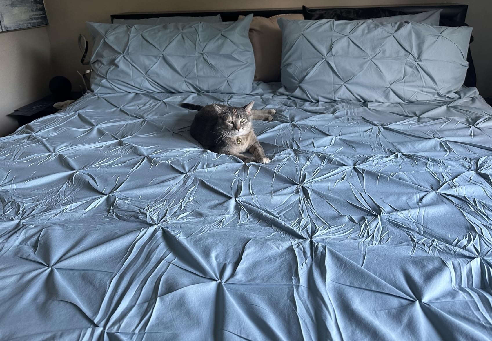 qmbnlBg1Oak.jpg?size=1697x1177&quality=9