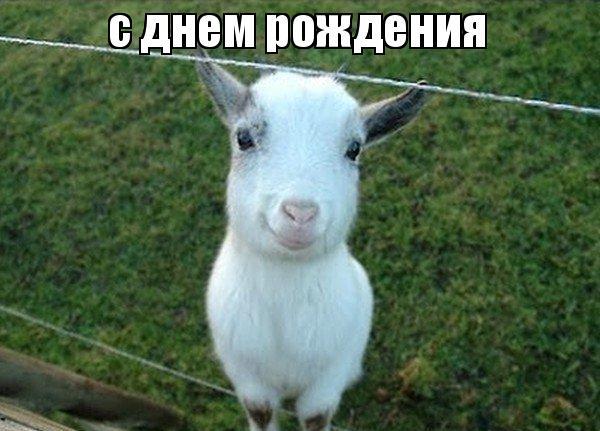 XvWkiC-GmJw.jpg?size=600x431&quality=96&