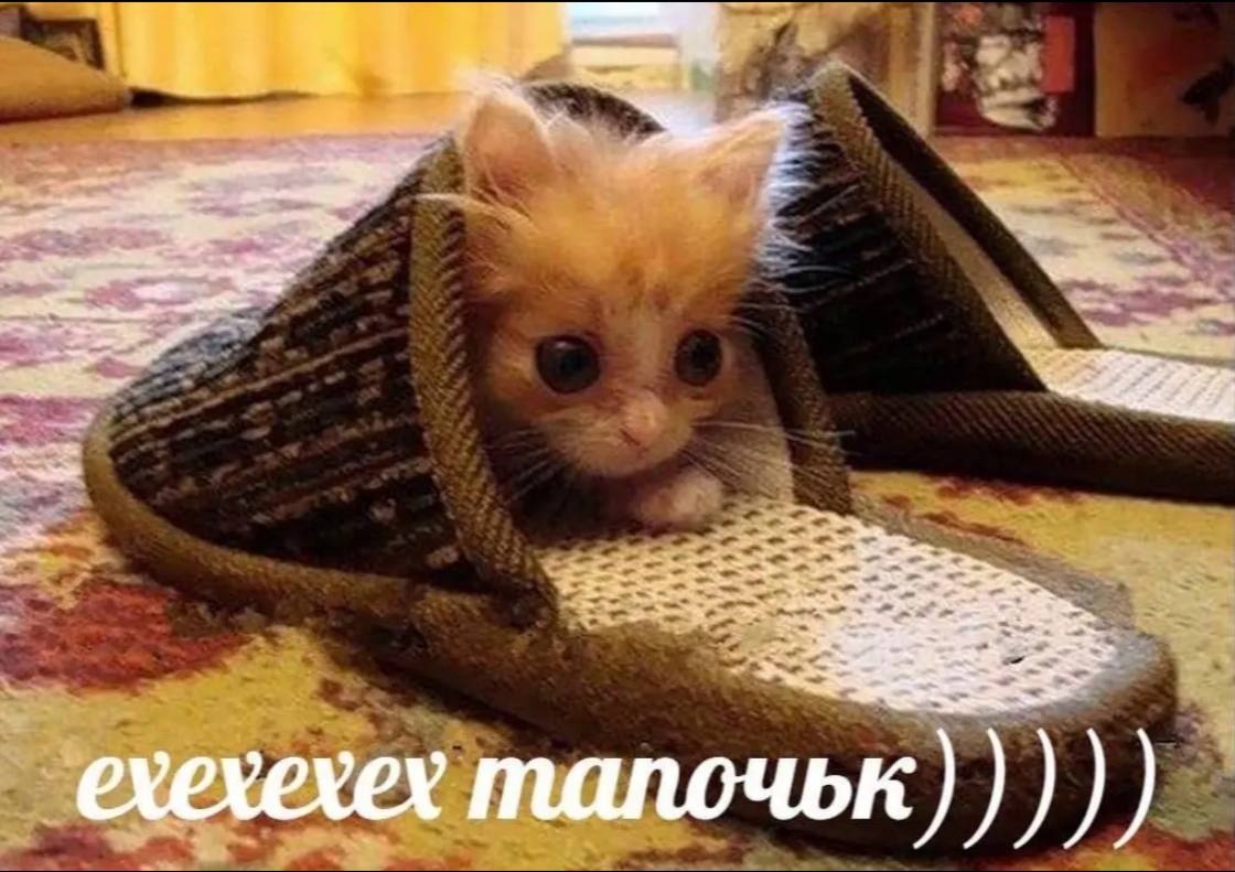 supLExb--P8.jpg?size=1120x791&quality=96