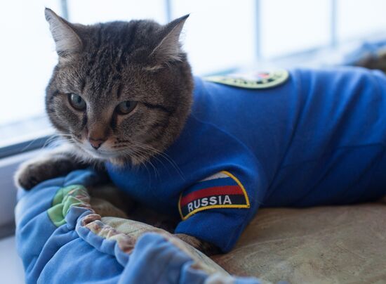 000006746640_0:0:0:0_550x550_80_0_1_ria-