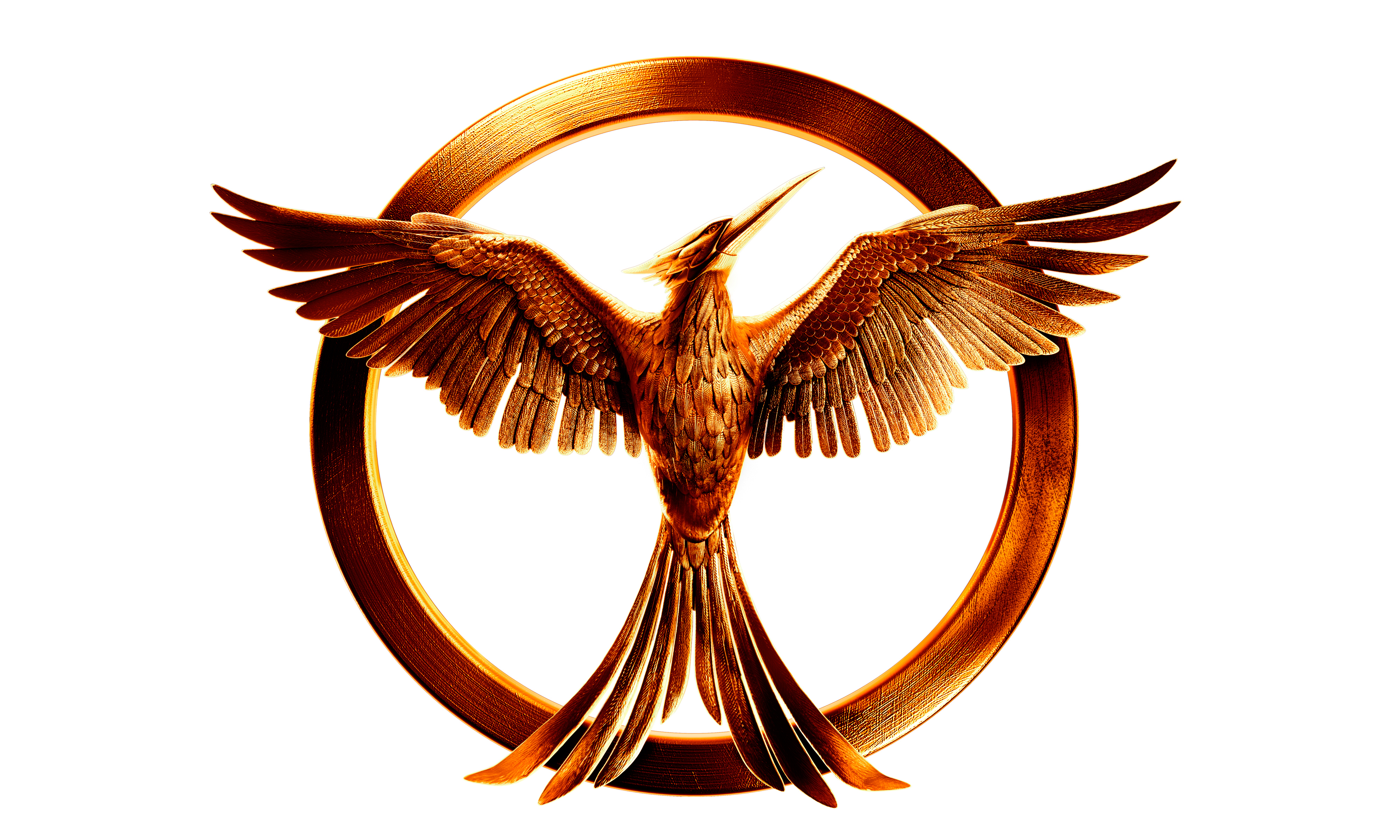 mockingjay-soyka-peresmeshnica.jpg