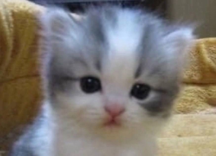 PRH_A4UWmOo.jpg?size=875x634&quality=96&