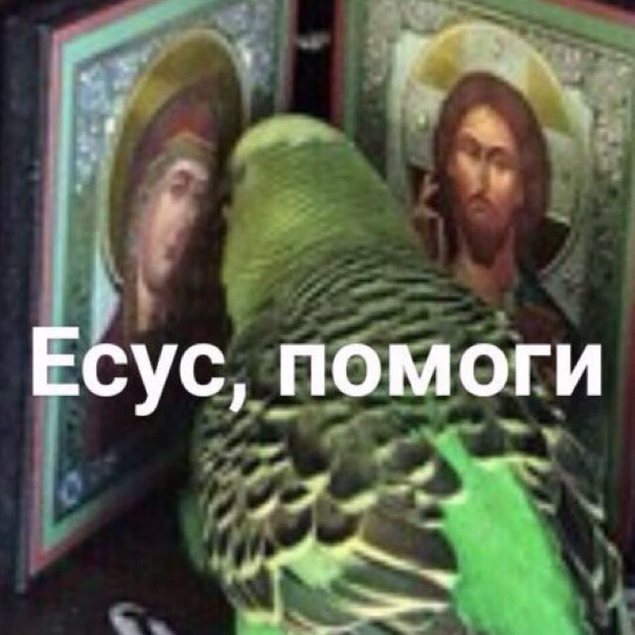 AIdro_m9ksWhOQgVmokzo5N5V2bFyng4YJzsGeYn