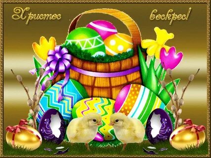 i?id=9960923ad7f29e4a96060956576703eb-49