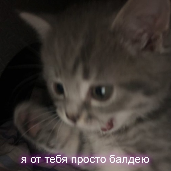 09fgqrHan8g.jpg?size=564x564&quality=96&