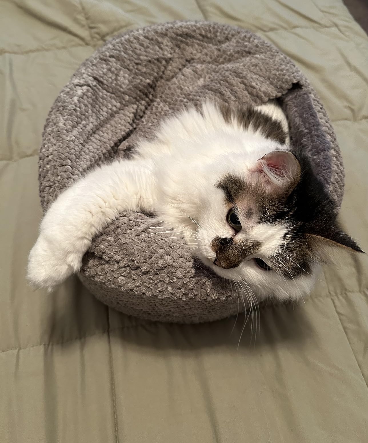 JFIjFL_mKwQ.jpg?size=1288x1551&quality=9