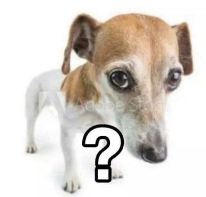 zGEe4gu922w.jpg?size=403x386&quality=96&