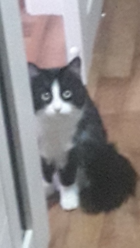 JC_LtfwbJow.jpg?size=286x505&quality=96&