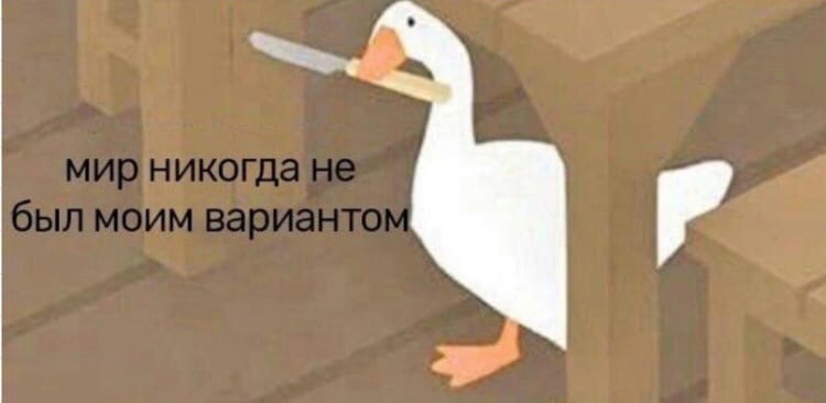 0gddpAy6B84.jpg?size=750x366&quality=96&