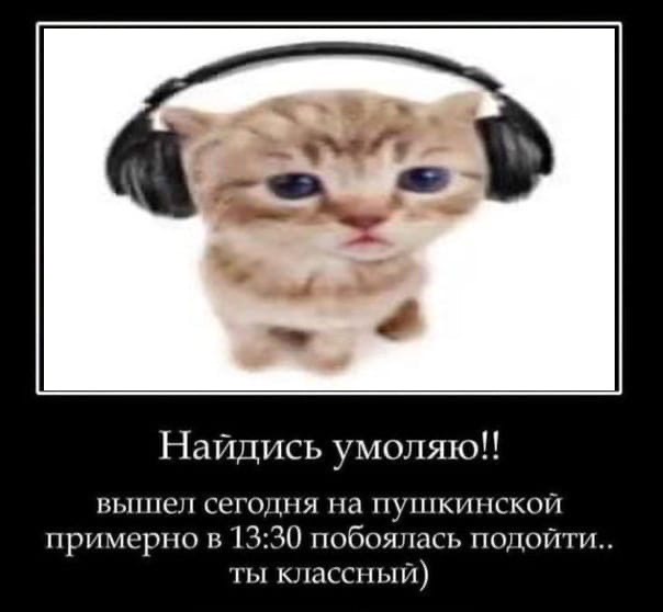 cW1Vblbq_M0.jpg?size=604x558&quality=96&