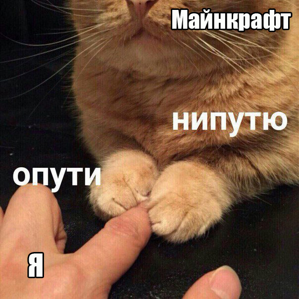84478cd6f5e693b9d0945b324323e4d0.jpg