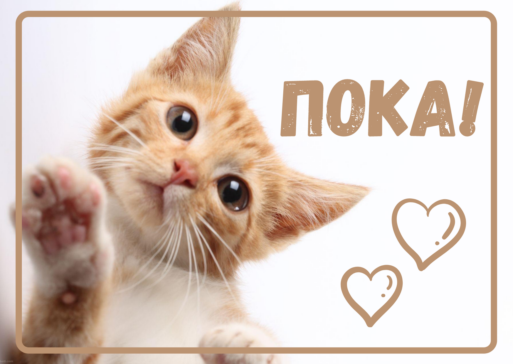 1634723138_3-papik-pro-p-otkritka-poka-3