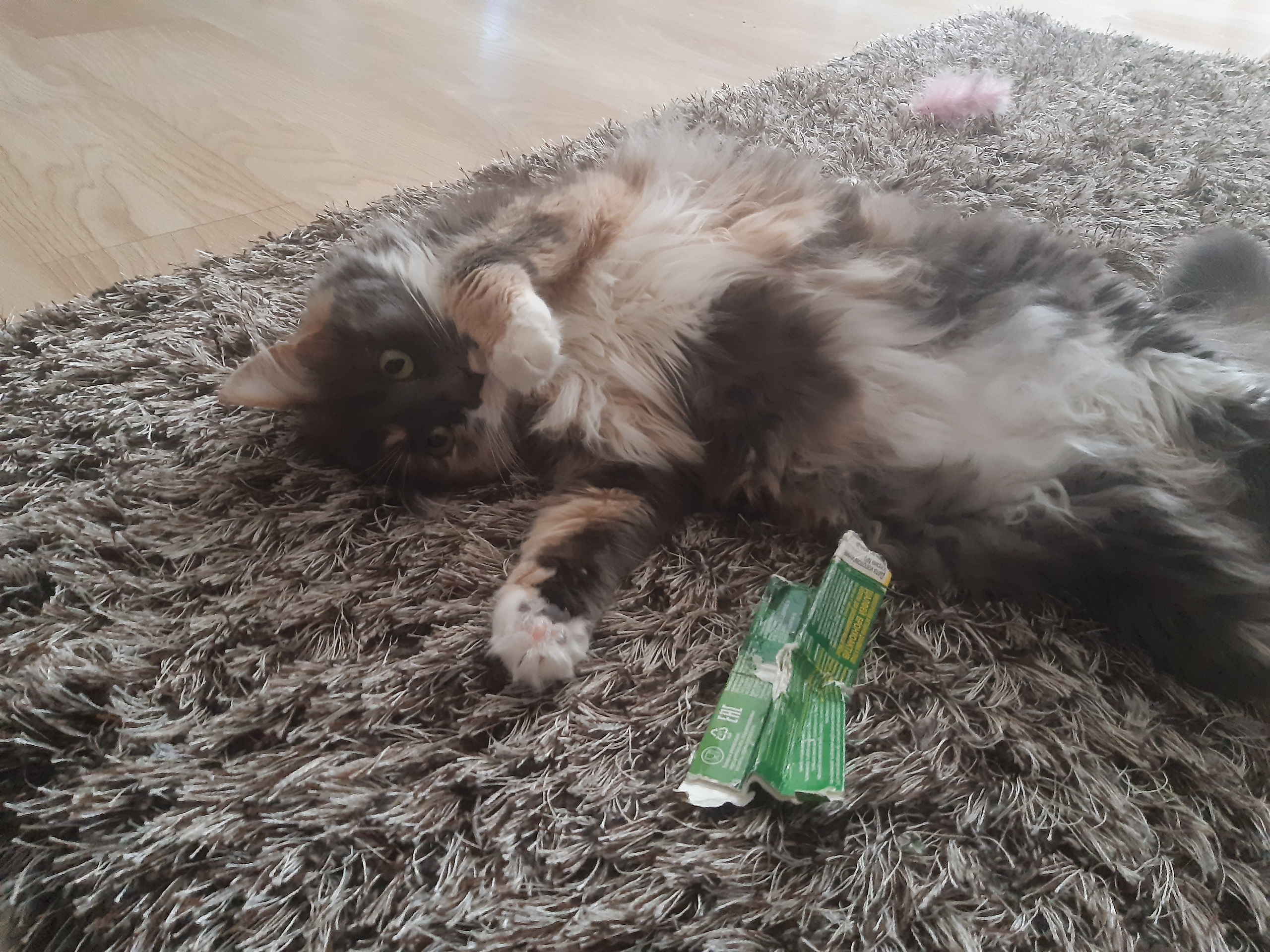 jAUDN9yawyE.jpg?size=2560x1920&quality=9