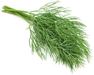 dill.jpg