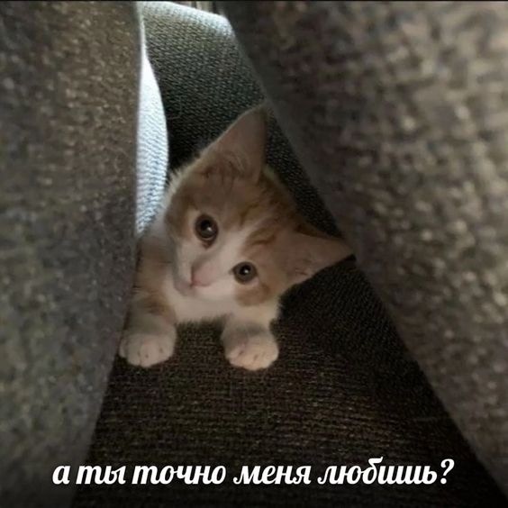 twjna2EQo8g.jpg?size=564x564&quality=96&