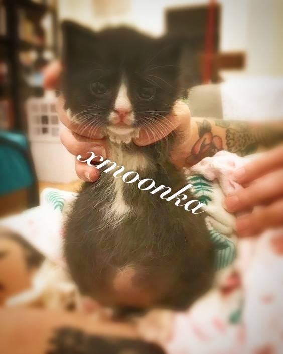 h7dZWJFn_-U.jpg?size=564x705&quality=96&