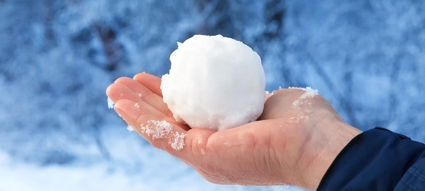 470468_Z6MxPTZI6h_snowballfaight1896colo