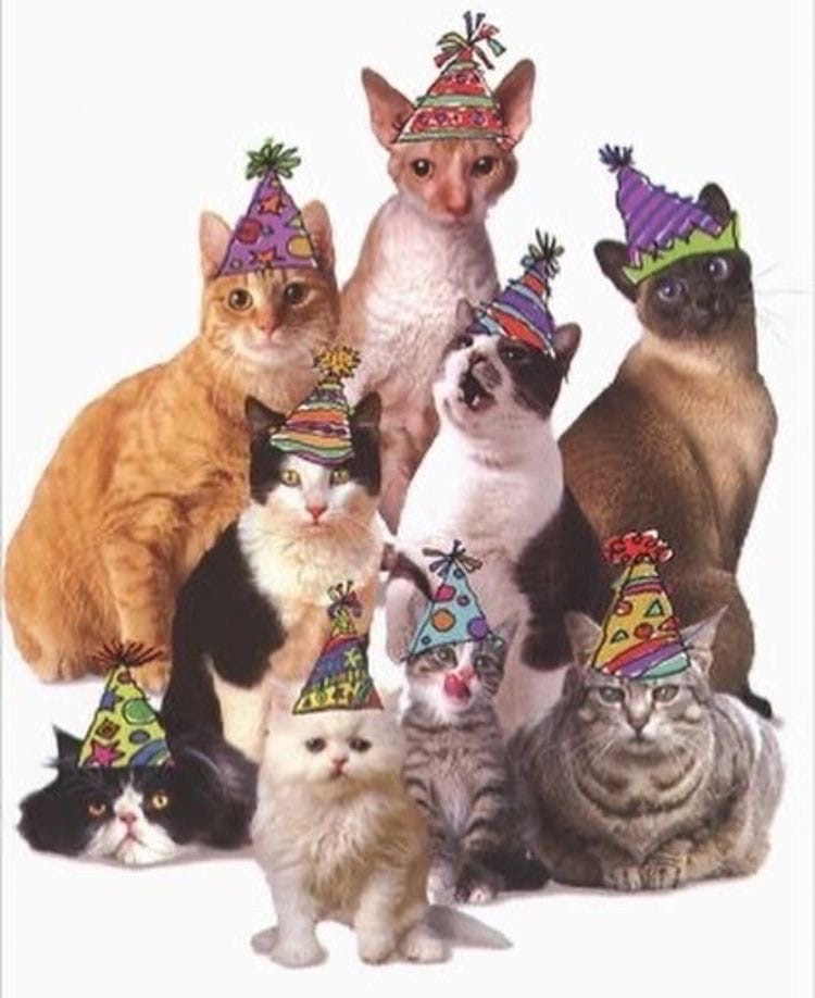 RRzxDhLUGn4.jpg?size=750x918&quality=95&