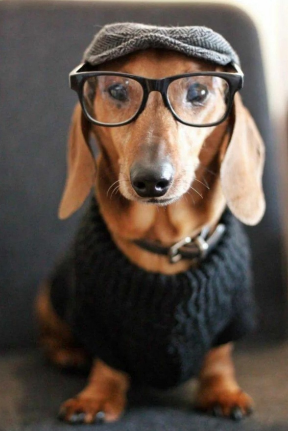 pI8lkHMK8Us.jpg?size=588x880&quality=96&