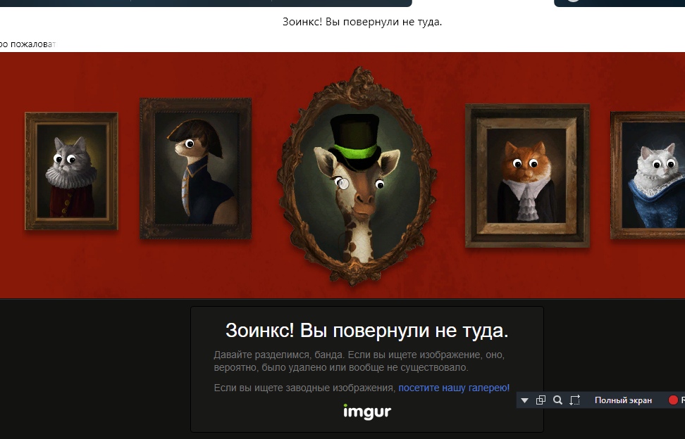 rWnrQdAvTK0.jpg?size=972x624&quality=96&