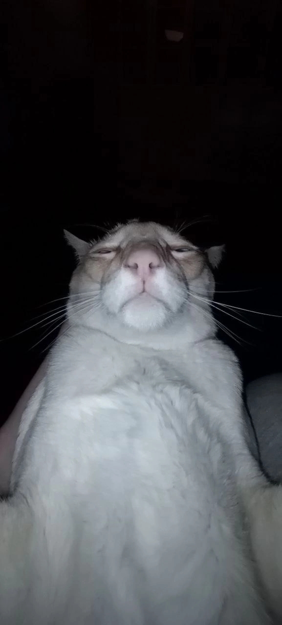 Gr8r4Qj6bfs.jpg?size=577x1280&quality=95