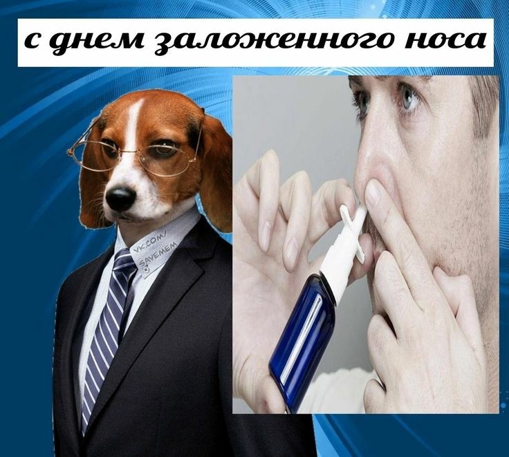 wU7-nTcILf4.jpg?size=736x661&quality=95&