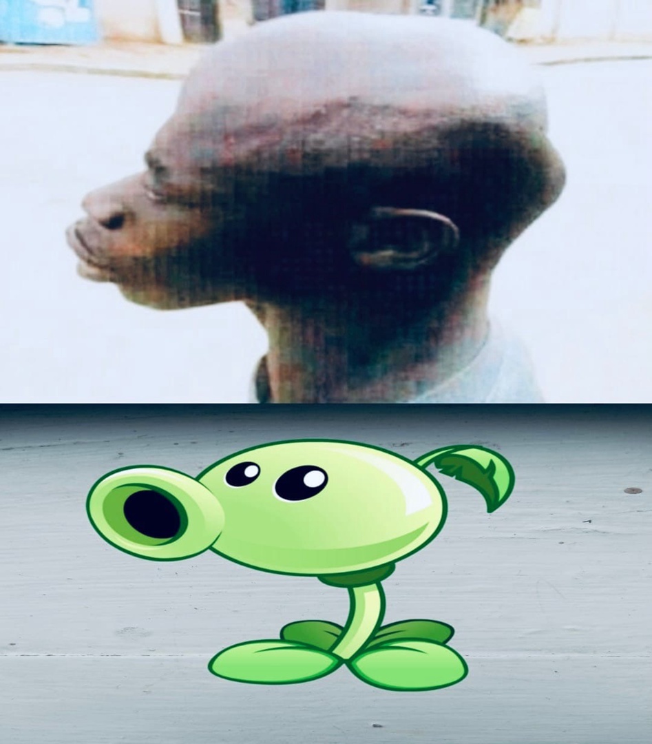 pMHAOojDiqQezT9vmZX-ttV5ivAja9aNxwdjtVhw