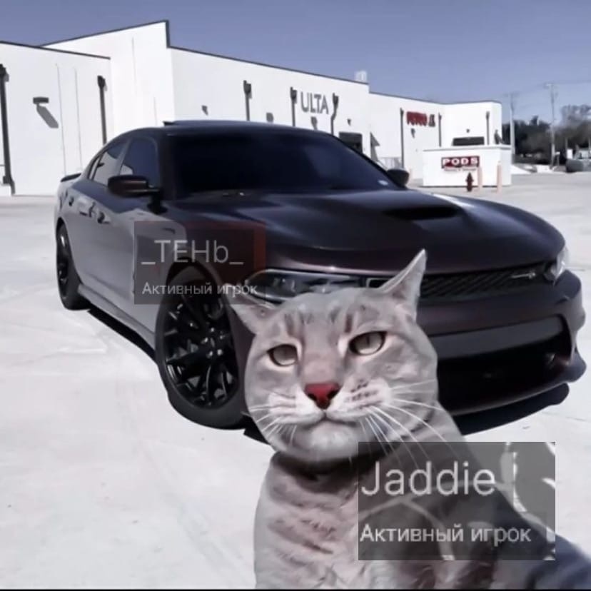 gS6hYe1bA3PfX3GCMJhOJj2JNY8jnpCcYSIBGBWn