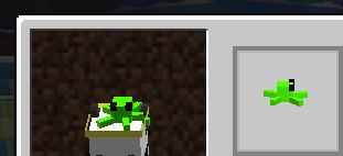 GIZx5xqHy9U.jpg?size=311x142&quality=96&