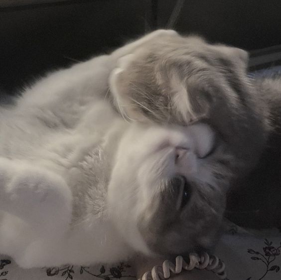 WhWTVYI9ut0.jpg?size=564x563&quality=96&