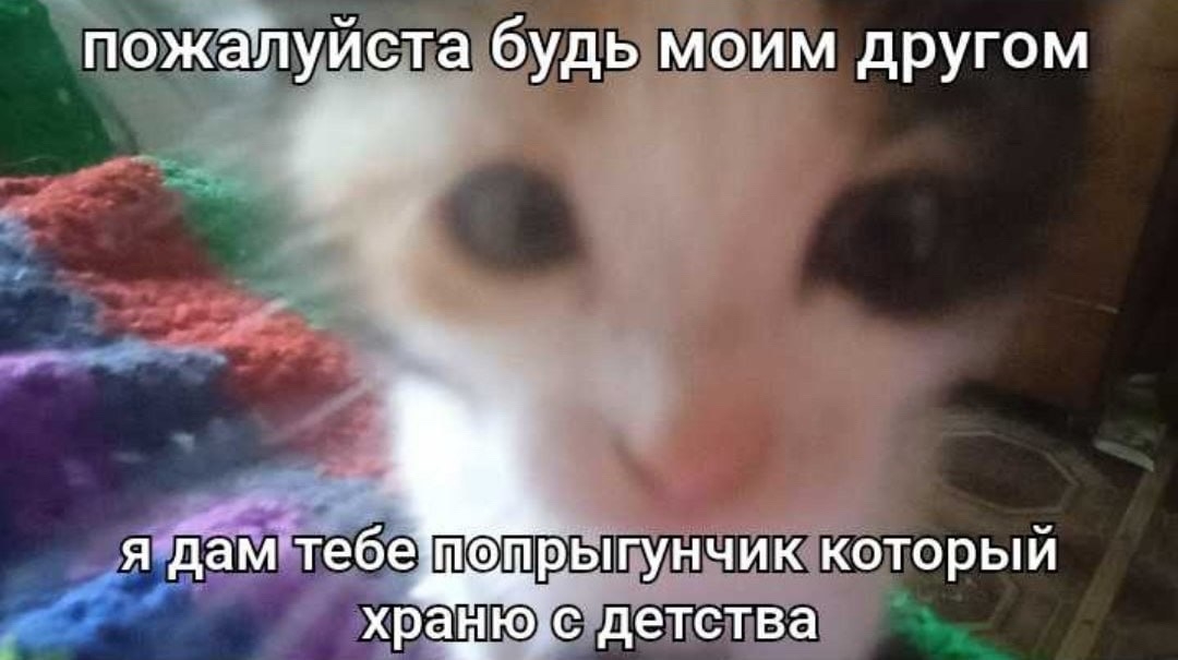 dqGksv5WQ_Q.jpg?size=1080x605&quality=95