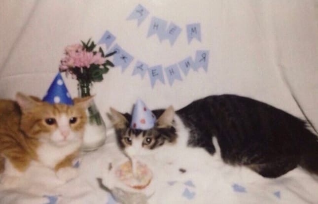 1ySQilLohaE.jpg?size=645x414&quality=95&