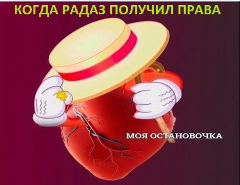 pEgpLC5WQd4.jpg