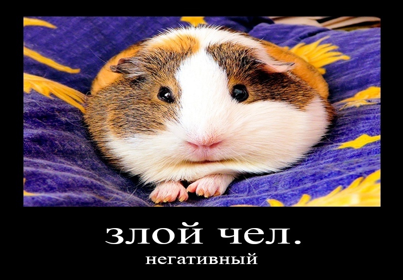 VAvOKrFXUUU.jpg