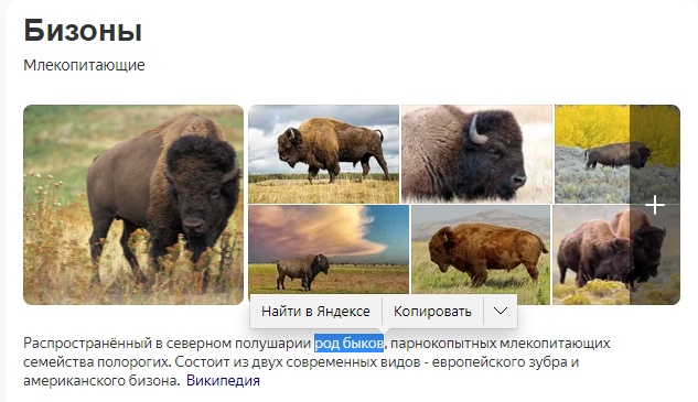 vGDOgdXqlo0.jpg?size=633x365&quality=96&