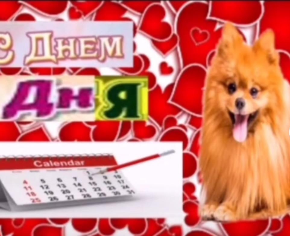 WVyLILl5vkk.jpg?size=962x785&quality=95&