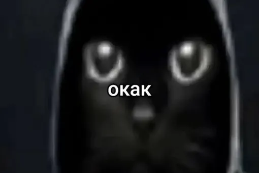 6b5117915527810f6a2d20a9e38d5f46_ce_590x