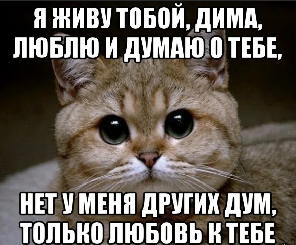 Lylov-WqP5Y.jpg?size=587x486&quality=96&