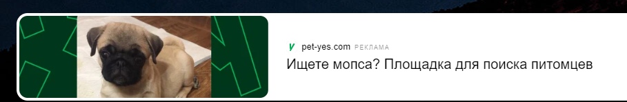 JsFQlmxlIsU.jpg?size=909x148&quality=96&