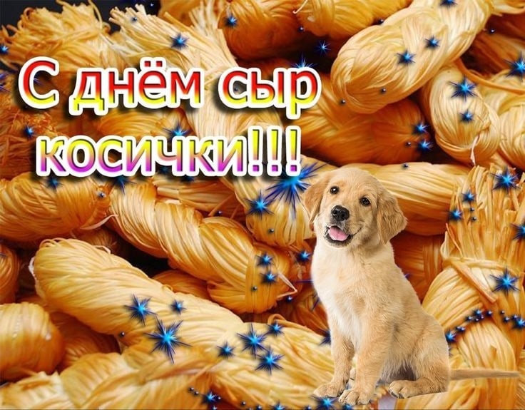 _qaM4IWehBI.jpg?size=736x575&quality=95&