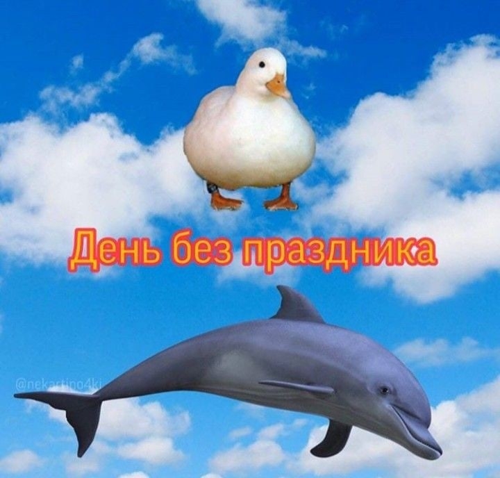 vYd83eIEEVM.jpg?size=720x688&quality=95&