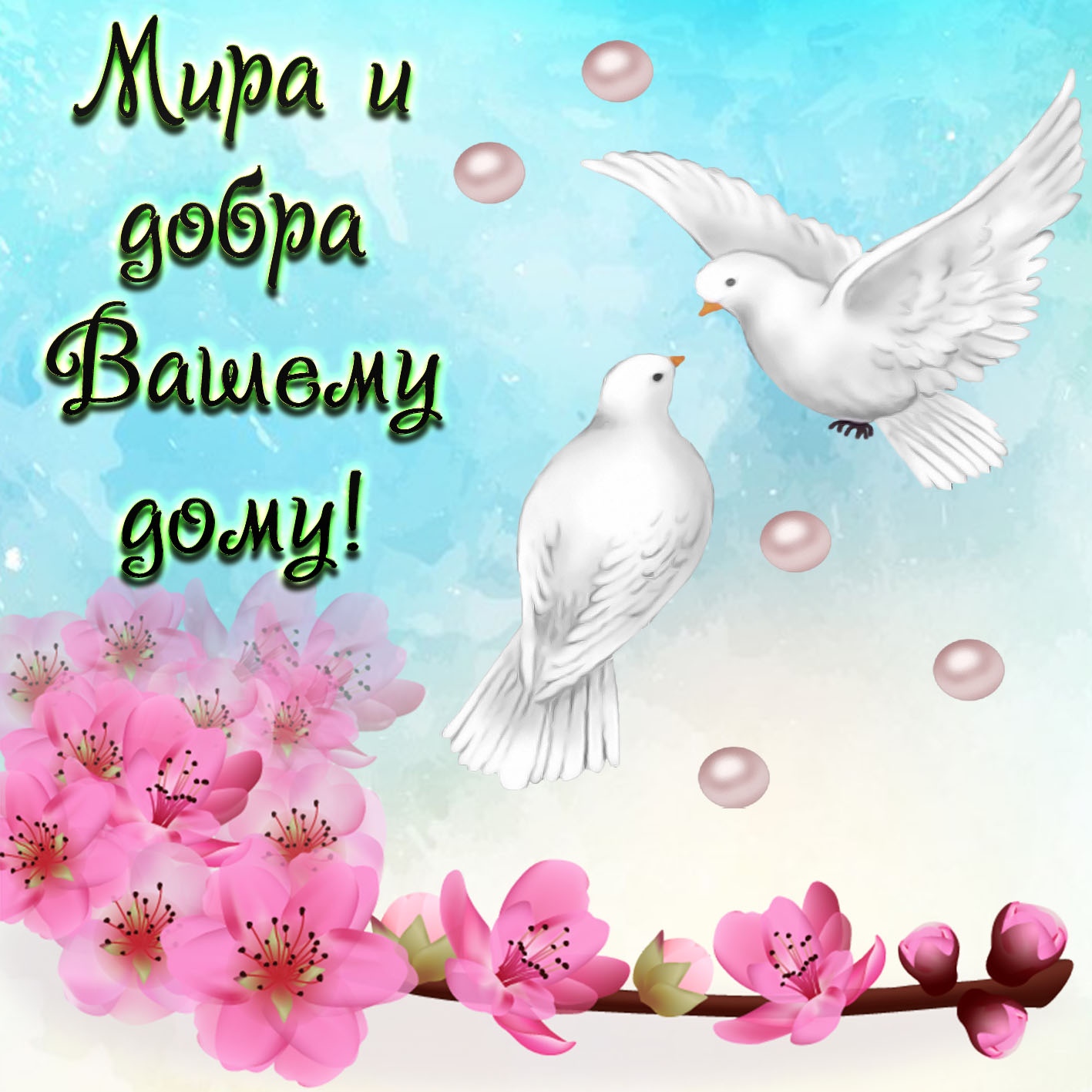 lpNjppub_yqSd9eUlyxcqAVUsVqh7ashHdi2ZCie