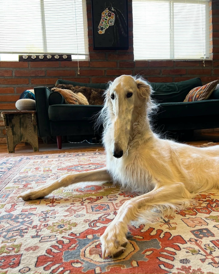 2qBGw8Itx-fEZ_6E3TiDFhAmhLlkt-6z8SYElY9C