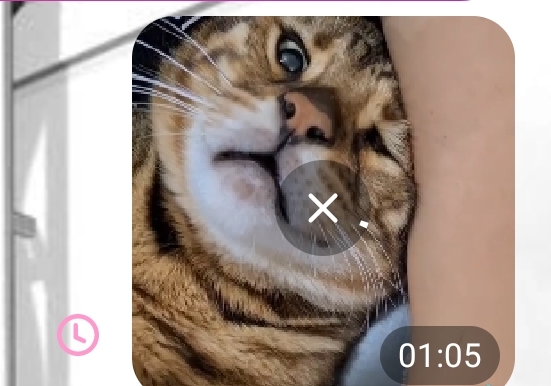 qqqvPkn5uMPgbok2VW_Q2oZEQAzezbAzR-e2qTC6