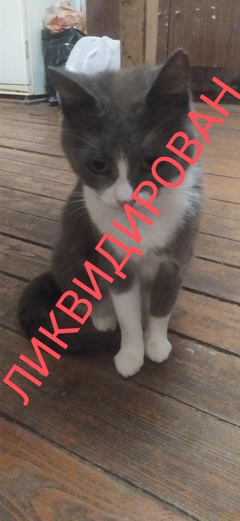 QvQTBznj1NQ.jpg?size=996x2160&quality=95