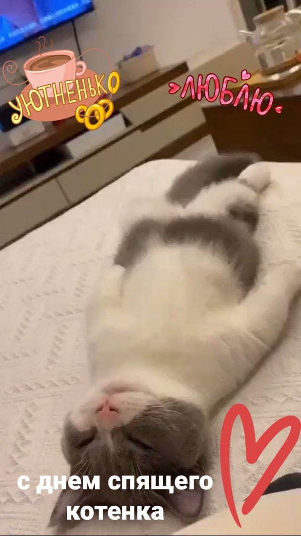 0w1Hg_0lLcA.jpg?size=607x1080&quality=95