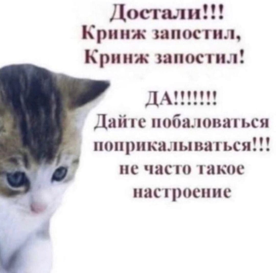 NNvObS5lU5I.jpg?size=1080x1067&quality=9