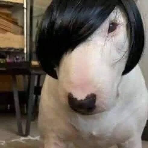 FZ8KdRG-zP9r0q750NbvYuUZ5f6zcUD4VqplRVsr